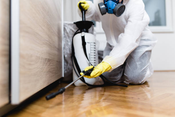 Best Pest Removal Services  in Nazareth College, NY