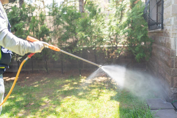 Best Wasp Removal Services  in Nazareth College, NY