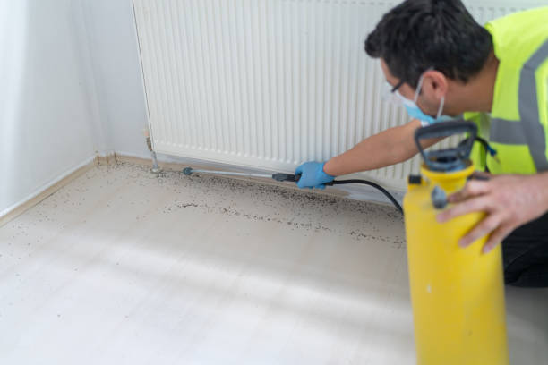 Best Affordable Pest Control Services  in Nazareth College, NY