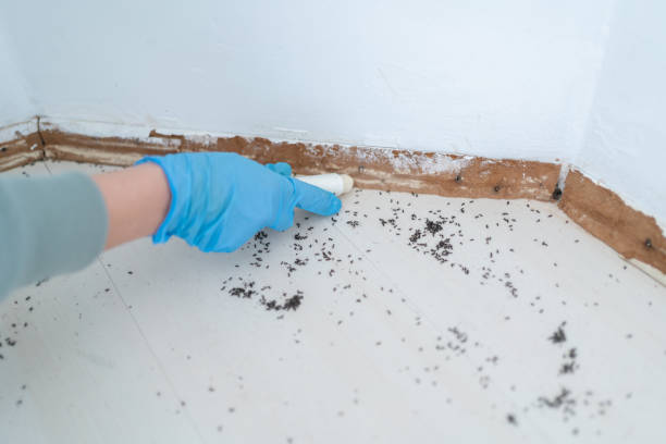 Best Wildlife Control Services  in Nazareth College, NY